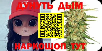 a pvp Новодвинск