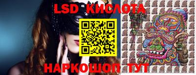 a pvp Новодвинск
