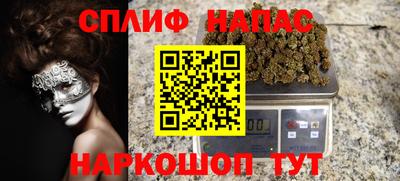 a pvp Новодвинск