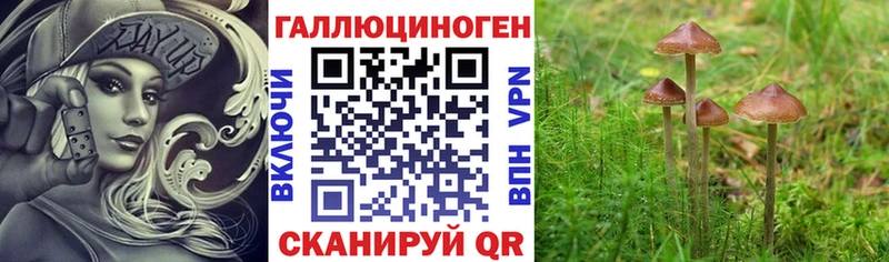 Галлюциногенные грибы Psilocybine cubensis  купить закладку  omg ONION  Глазов 