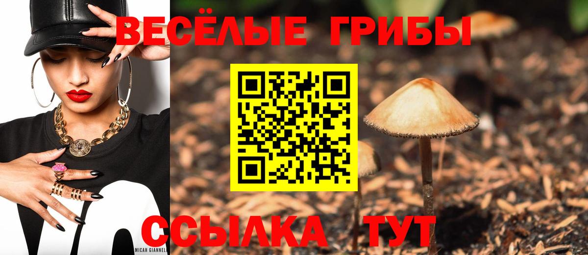 Псилоцибиновые грибы Psilocybe  Псилоцибиновые грибы Psilocybine cubensis  Вход с VPN  Глазов 