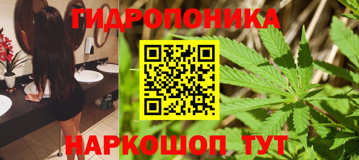 Бошки марихуана ГИДРОПОН Глазов